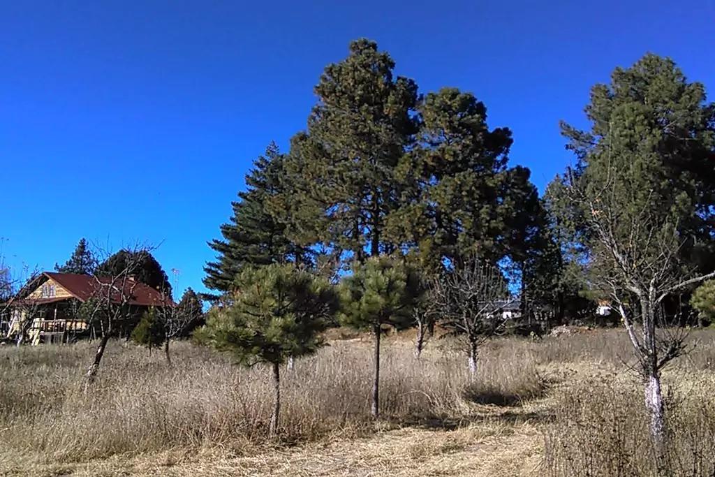 Rancho Pitorreal Huichigomachi Exterior foto